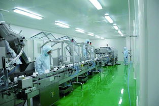 杭州雅琪 精英團隊，共創圖文設計之美