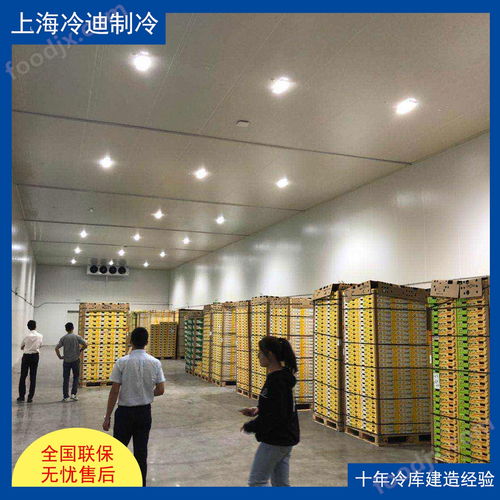 食品廠大型冷庫的安裝造價、設計與軟件開發全解析